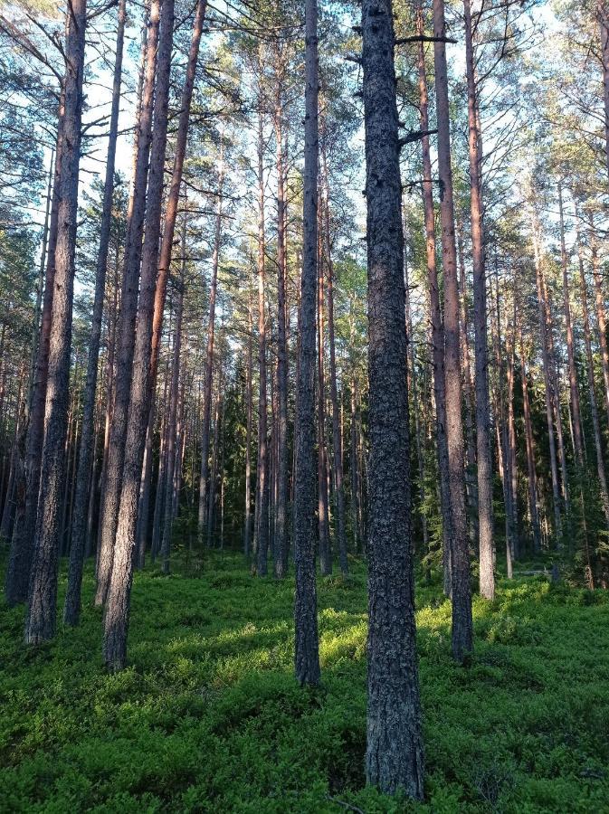 Toomarahva Farmstay Altja Bagian luar foto