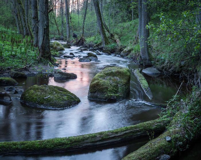 Toomarahva Farmstay Altja Bagian luar foto